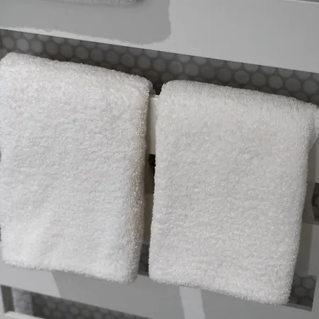 Dejanil Hannover